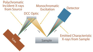 Monochromatic Micro EDXRF using Doubly Curved Crystal Optics